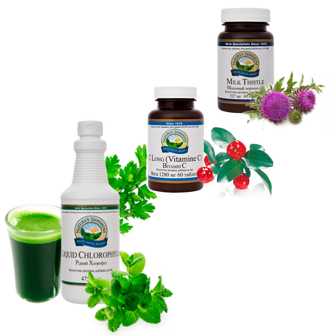 1007151906_nabor-detoks-detox