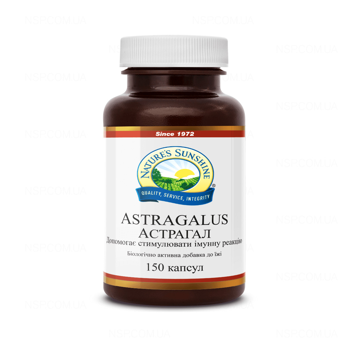 Astragal