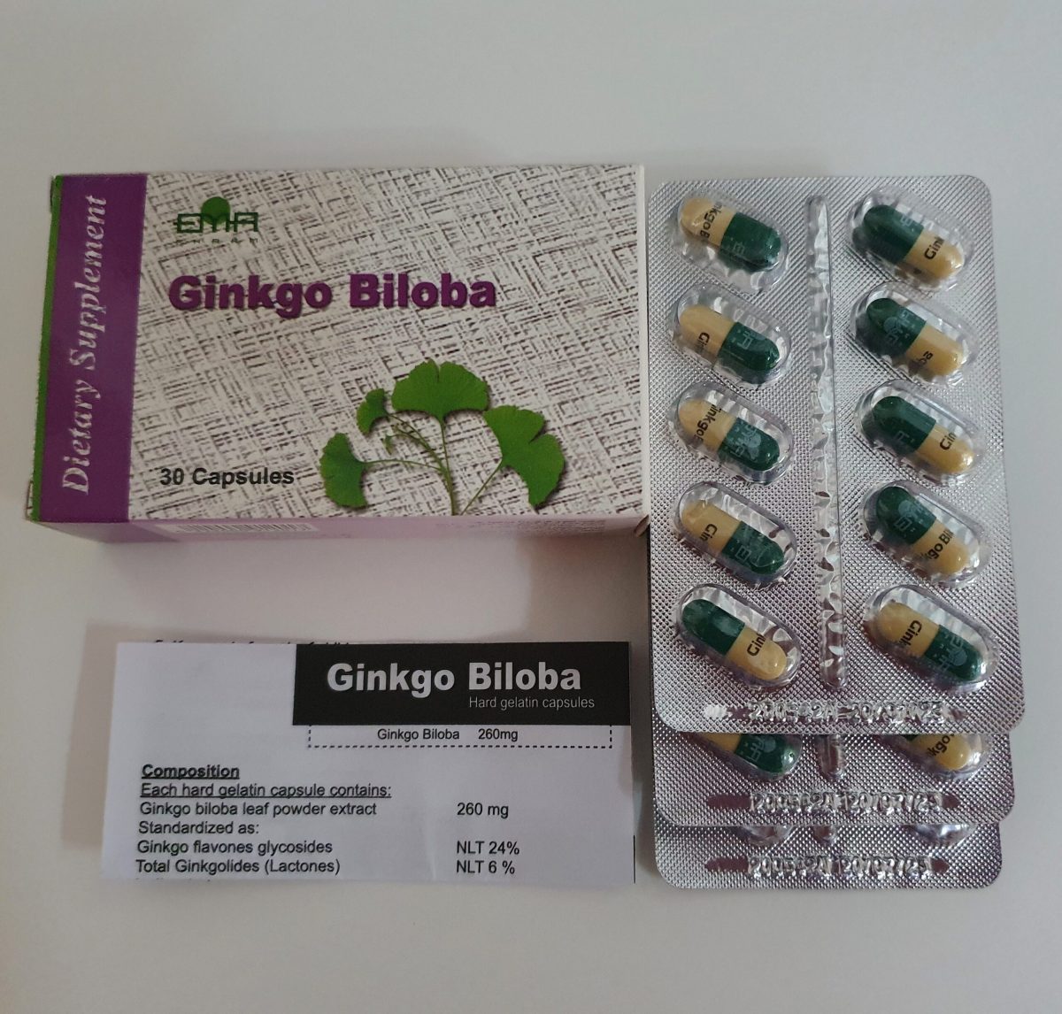 Ginkgo biloba