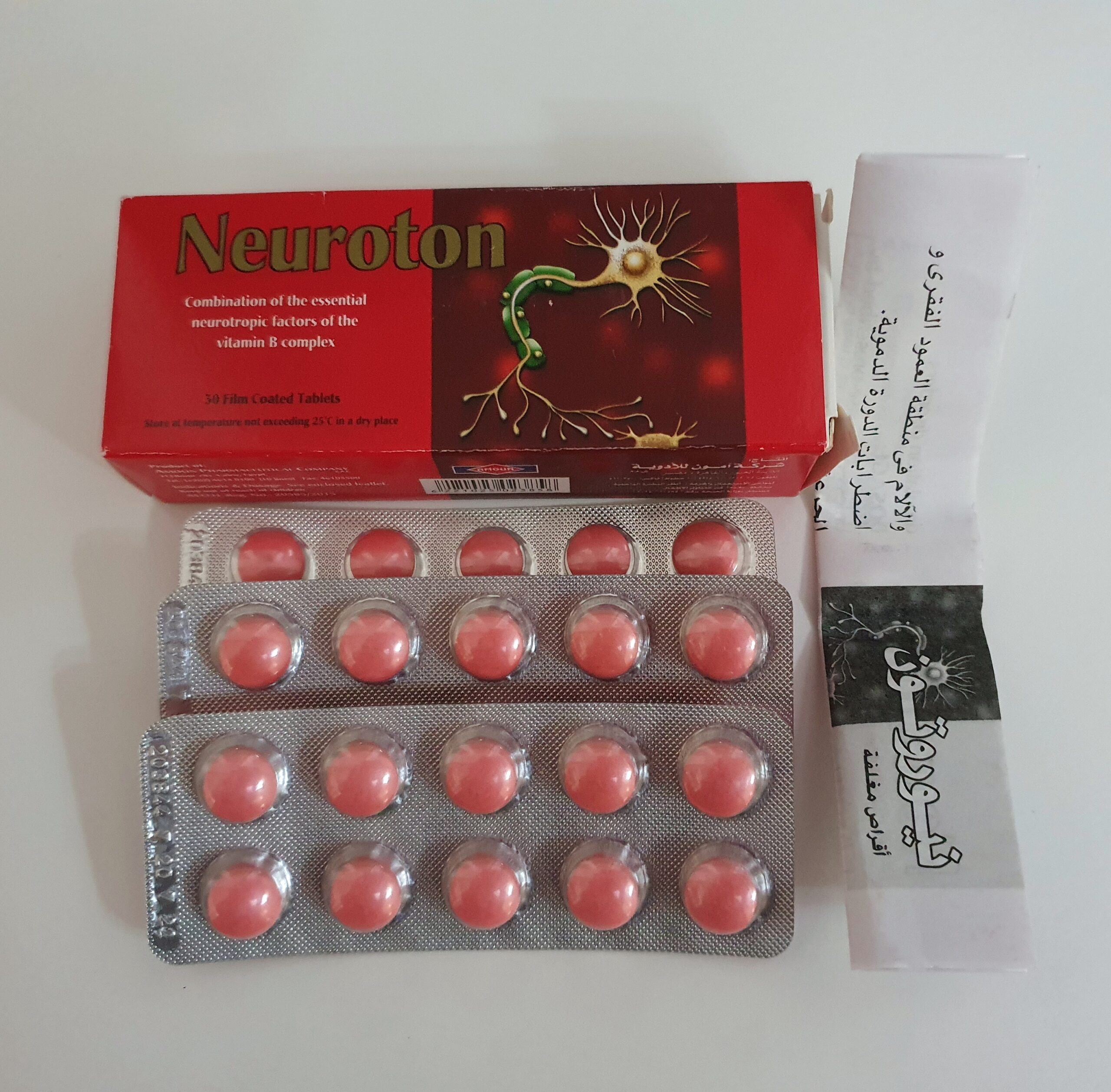 Neuroton
